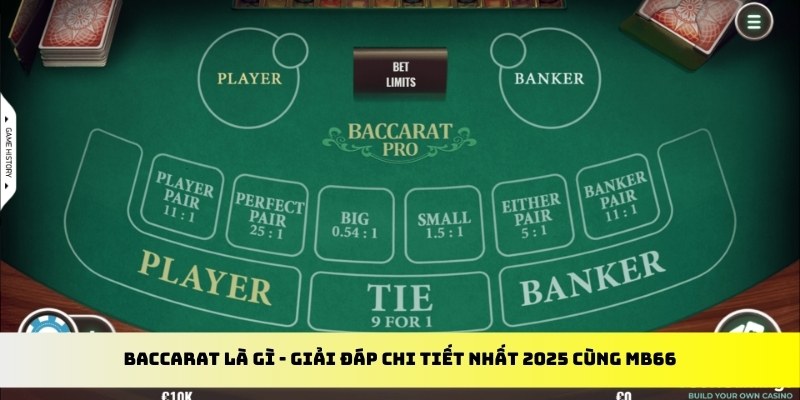 w88 mobile gà chọi cu cần