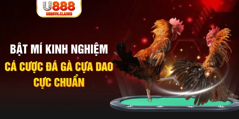w88 mobile tỷ lệ cá cược châu á là gì