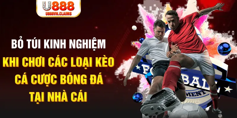 w88 mobile Tài Xỉu
