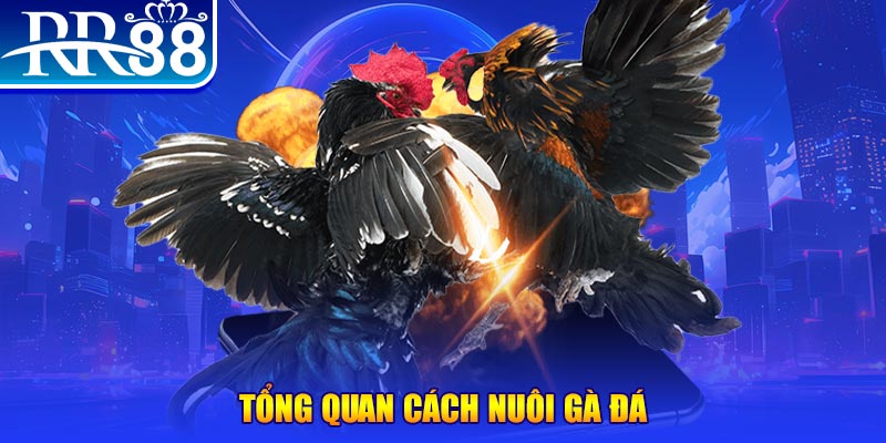 w88 mobile VA Điện Tử