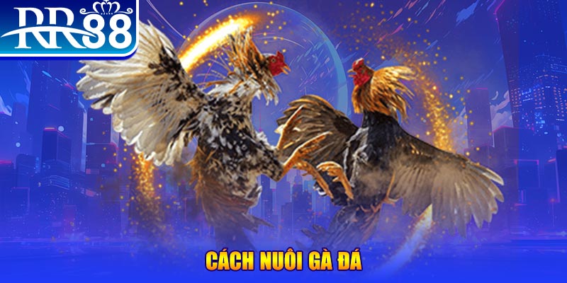 w88 mobile xổ số an giang