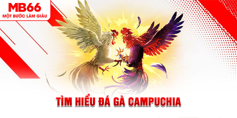 w88 mobile đá gà trực tiếp
