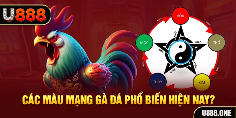 w88 mobile trực tiếp đá gà 88