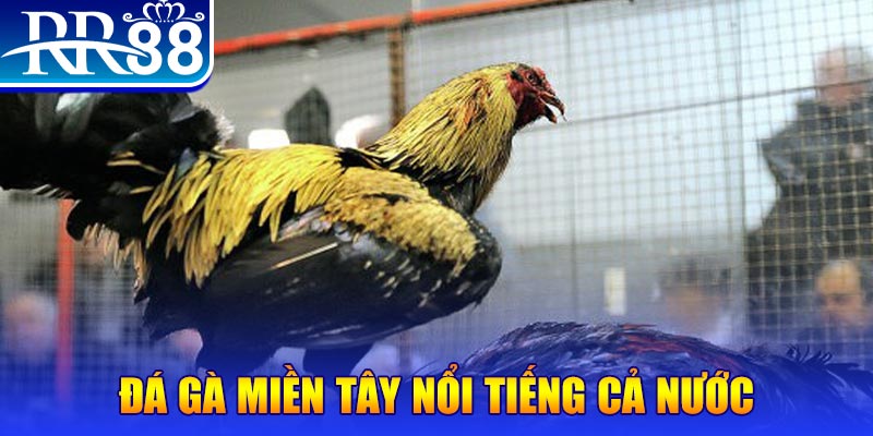w88 mobile JILI Game Bài 3d