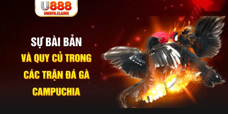 w88 mobile YGR Điện Tử