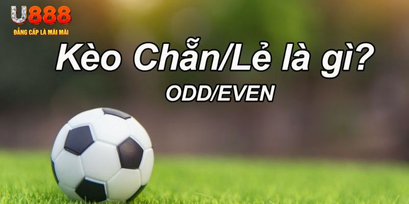 w88 mobile đăng nhập poker hôm nay