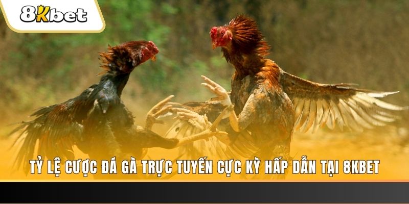 w88 mobile xổ số trực tiếp miền bắc
