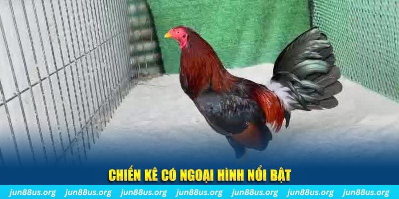 w88 mobile chạy quảng cáo cho game bài bị phạt như thế nào